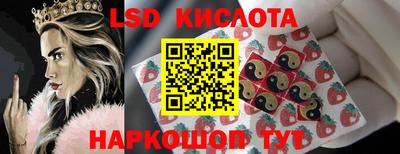 сатива Бердск