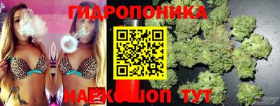 дмт Белореченск