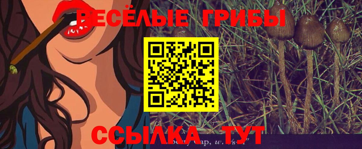 Кодеин Бердск