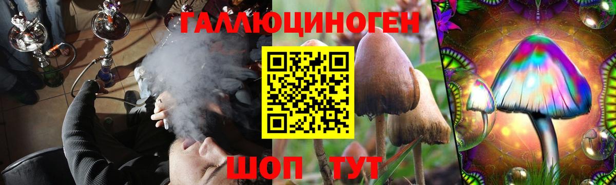 Псилоцибиновые грибы GOLDEN TEACHER  Галлюциногенные грибы мухоморы  Бердск  Вход с VPN 